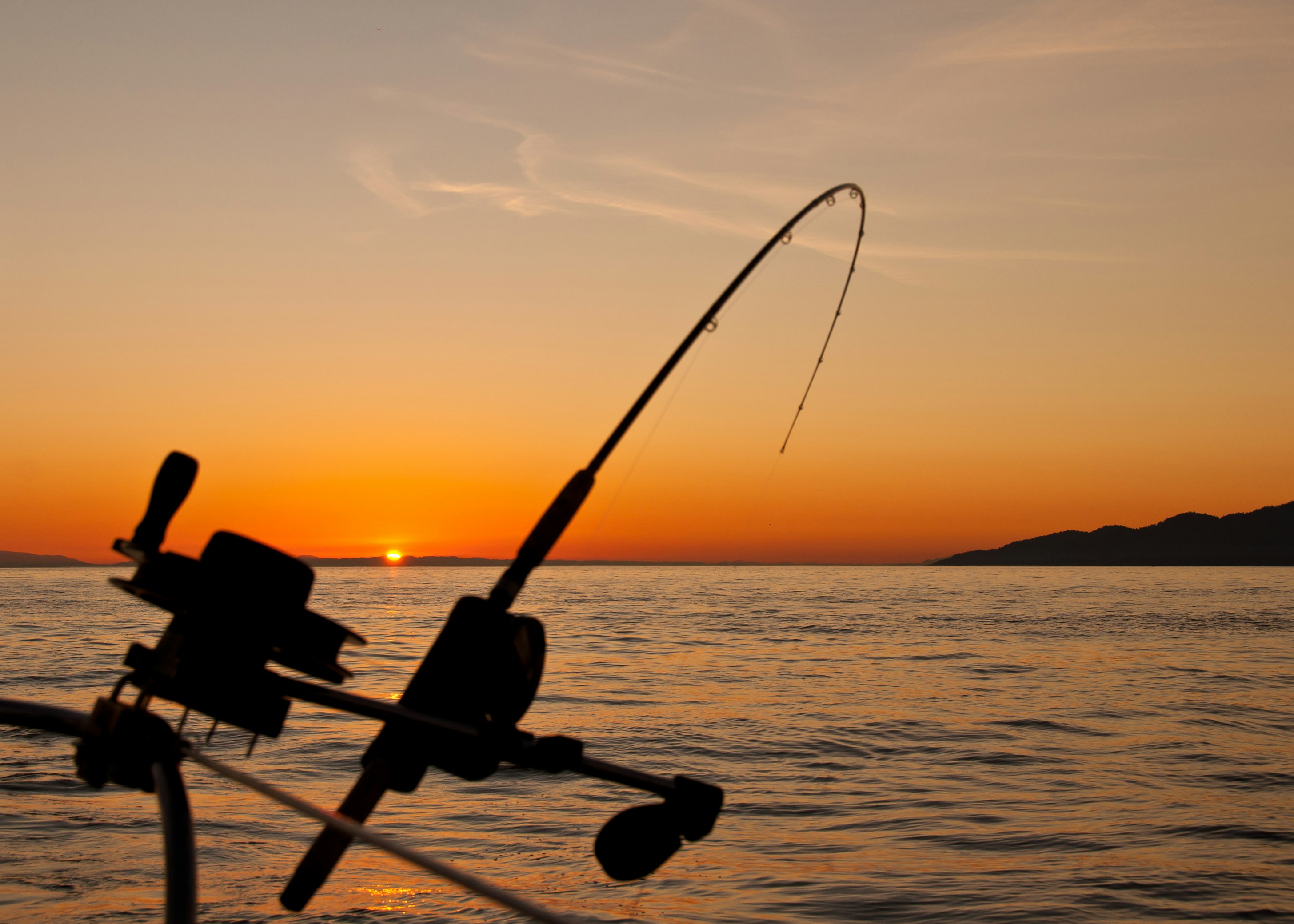 MORNING FISHING